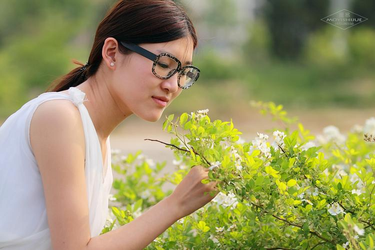 污污的网站中文字幕精选内容